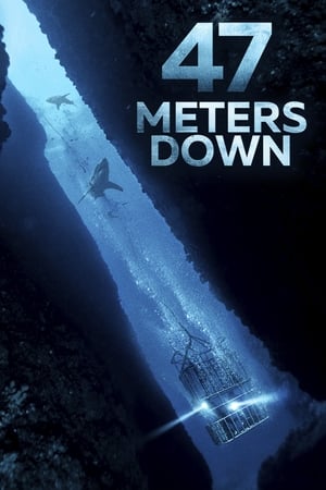 47 Metres Down (2017) Hindi Dual Audio 300MB HD Poster Download - Filmyzilla