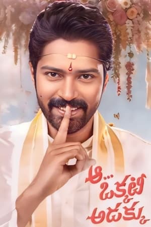 Aa Okkati Adakku 2024 Telugu HD Poster Download - Filmyzilla