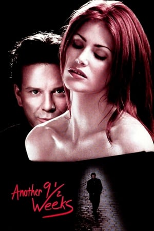 Another Nine And A Half Weeks 1997 [Hindi] Dual Audio 300MB HD Poster Download - Filmyzilla