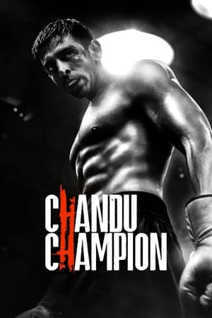 Chandu Champion 2024 Hindi – – HD Poster Download - Filmyzilla