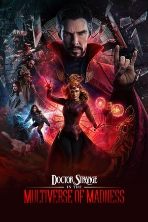 Doctor Strange in the Multiverse of Madness (2022) Hindi (ORG) Dual Audio HD Poster Download - Filmyzilla