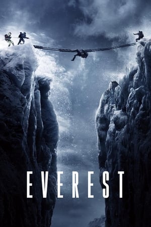 Everest (2015) Hindi Dual Audio 450MB HD Poster Download - Filmyzilla