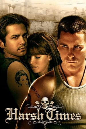 Harsh Times 2005 Hindi Dual Audio – HD Poster Download - Filmyzilla