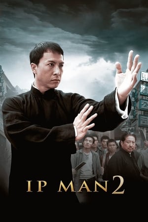 Ip Man 2 (2010) Hindi Dual Audio 350MB HD Poster Download - Filmyzilla