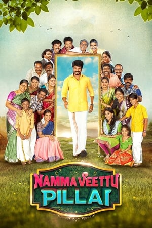 Namma Veettu Pillai (2019) (Hindi -Tamil) Dual Audio [1.4GB] HD Poster Download - Filmyzilla