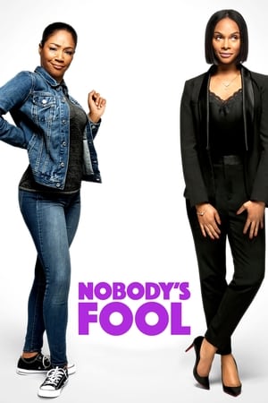 Nobody’s Fool (2018) Hindi Dual Audio [1GB] HD Poster Download - Filmyzilla