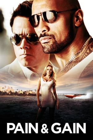 Pain & Gain 2013 400MB Dual Audio Hindi Download HD Poster Download - Filmyzilla