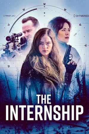 The Internship 2026 Hindi Dual Audio HD Poster Download - Filmyzilla