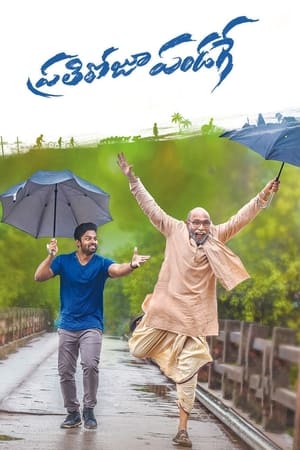 Prati Roju Pandage (Har Din Diwali) (2019) Hindi Dubbed [1.1GB] HD Poster Download - Filmyzilla
