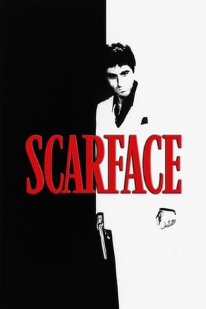 Scarface (1983) Dual Audio Hindi Movie - 1.4GB HD Poster Download - Filmyzilla