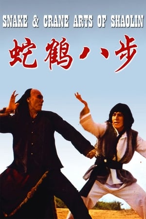 Snake and Crane Arts of Shaolin 1978 Hindi Dual Audio 300MB HD Poster Download - Filmyzilla