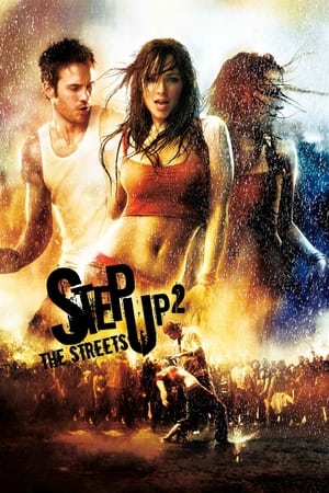 Step Up 2 The Streets 2008 Hindi Dual Audio [700MB] HD Poster Download - Filmyzilla
