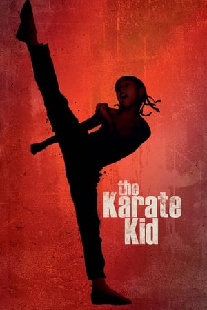 The Karate Kid 2010 Hindi Dubbed 1GB Movie HD Poster Download - Filmyzilla