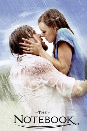 The Notebook 2004 Dual Audio Hindi [200MB] HD Poster Download - Filmyzilla