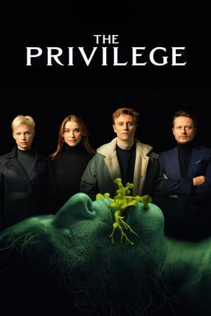 The Privilege (2022) Hindi Dual Audio – HD Poster Download - Filmyzilla