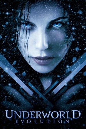 Underworld Evolution (2006) 100mb Hindi Dual Audio movie Download HD Poster Download - Filmyzilla